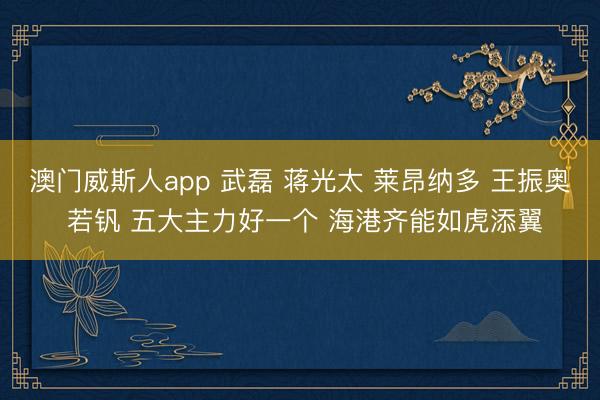 澳门威斯人app 武磊 蒋光太 莱昂纳多 王振奥 若钒 五大主力好一个 海港齐能如虎添翼
