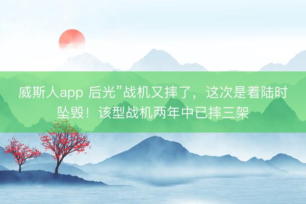 威斯人app 后光”战机又摔了,这次是着陆时坠毁!该型战机两年中已摔三架